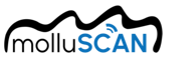 Logo Molluscan